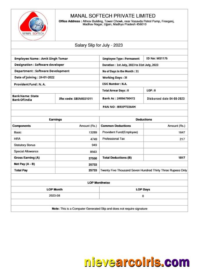 Manal Softech salary slip